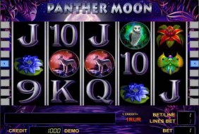 Panther Moon  -  Novomatic